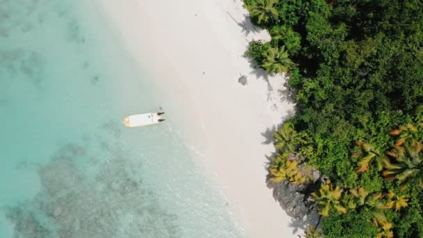 Luftdrohne 4k Vogelperspektive Aufnahmen mit Kreisbewegung von tropischen Paradies Strand mit Kokospalmen und einsamen Touristenboot in türkisfarbenem Lagunenwasser — Stockvideo