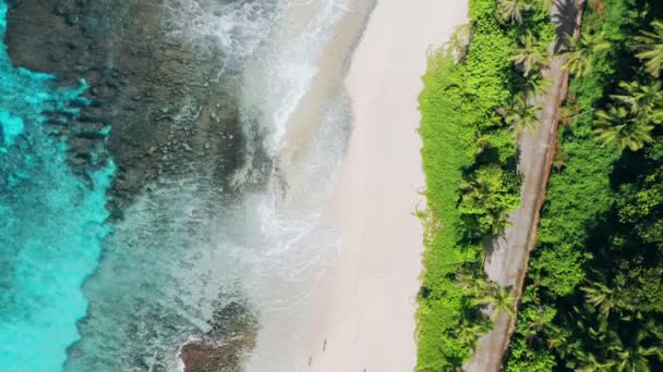 Авиационный передовой полет 4K беспилотник причудливого тропического пляжа Анс-Базарка на острове Маэ, Сейшельские острова. Летние каникулы, путешествия и образ жизни — стоковое видео