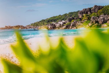 Grand Anse, La Digue adası, Seyşeller. Ön planda defocused gür yeşil bitki örtüsü ve turkuaz dalgalar ve arka planda benzersiz granit kaya oluşumu ile muhteşem beyaz kum cennetplaj