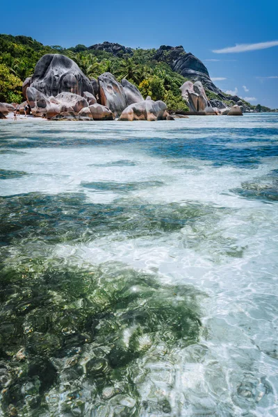 Шалфей с водорослями перед уникальным пляжем Анс-Сорс, Ла-Дигю-Сейшельские острова. Концепция экзотических путешествий — стоковое фото