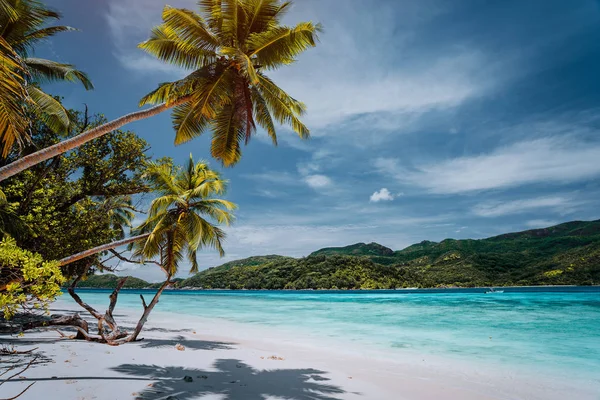 Luxusní dovolená na tropickém ostrově. Pláž Paradise s bílým pískem a palmami. Koncepce cestovního ruchu na dlouhé vzdálenosti — Stock fotografie