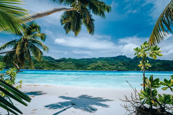 Panorama tropické pláže svěží vegetace modré laguny za jasného slunečného dne. Koncept dovolených svátků. Exotické útočiště ráje, prázdniny — Stock fotografie