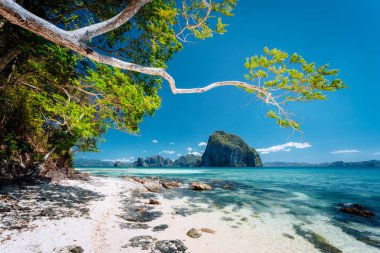 Güzel egzotik güney doğa etkileyici epik tropikal adalar, Filipinler, Palawan