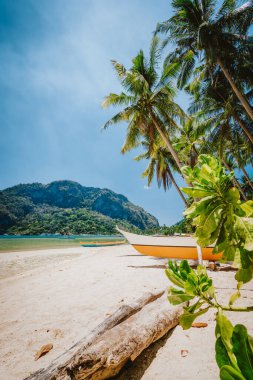 Filipinler sahili - Palmiye ağaçlarının altındaki yerel banka teknesi El Nido, Palawan adasındaki Corong Corong plajında