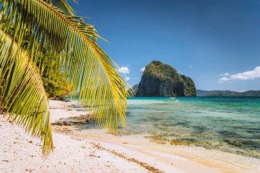 El Nido, Palawan Adası, Filipinler 'de güzel bir sahil. Kumsal, palmiye yaprakları ve arka planda büyük bir dağ