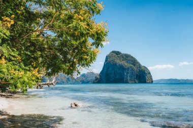 Filipinler, Palawan Adası, El Nido 'nun güzel kıyı şeridi. Yeşil yapraklar, uzak kumsallar ve deniz arka planında büyük bir dağ.