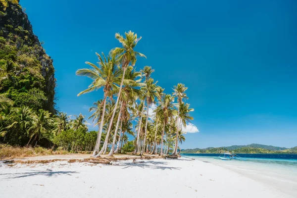Nido Palawan Filipíny Krásná Pláž Ipil Kokosovými Palmami Písečnou Pláží — Stock fotografie