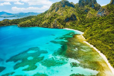 Cadlao Gölü, El Nido, Palawan Adası, Filipin. Tropik bir adanın kıyı şeridi, mercan resifi ve ormanın hava aracı görüntüsü.