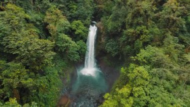 La Paz Şelalesi Kosta Rika 'da yoğun yağmur ormanlarıyla çevrili havuza düşüyor..
