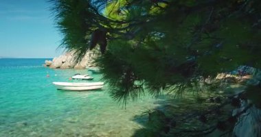 Çam dalları sessiz körfezin üzerinde demirli tekneler ve zümrüt denizle birlikte asılı..