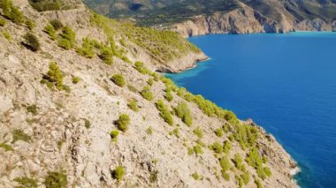 Kefalonia adasındaki dalgalı mavi denizi gören kayalık çam çamı.