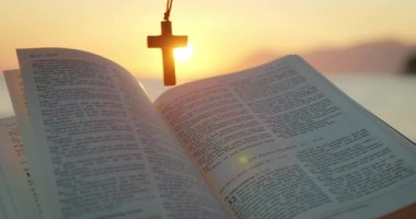 Bir haç kolyeli İncil, plajda güneş ışığında dinlenirken deniz ve günbatımı arka planı oluşturur..