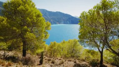 Mavi deniz manzarası ve Kefalonia 'daki çam ağaçları tarafından çerçevelenmiş engebeli kıyı şeridi.