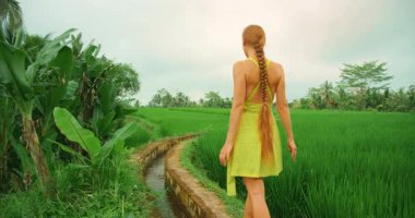 Bali 'de canlı yeşil pirinç tarlalarını gezen bir kadın..