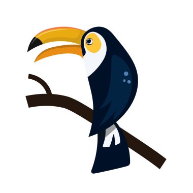 Toucan beyaz bir arka plan üzerinde izole bir dal üzerinde oturan.