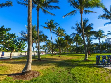 Miami Beach Florida lüks daire ve su yolu ile