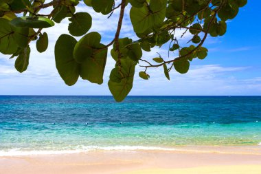 Güneşli bir gün, Jamaika bambu plajda kum ve deniz