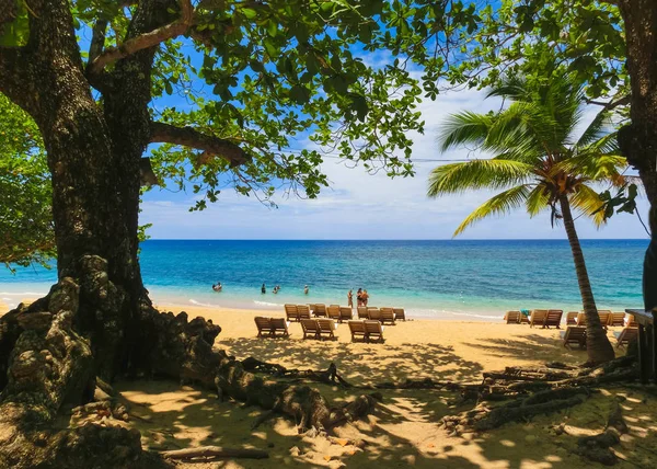 海や晴れた日の竹のビーチ ジャマイカで砂 — ストック写真