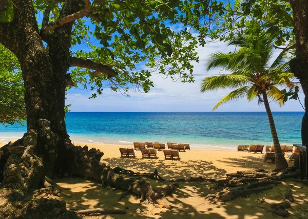 Meer Und Sand Bambusstrand Jamaica Bei Sonnigem Wetter — Stockfoto