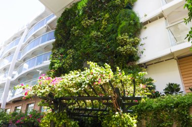 Cape Canaveral, Amerika Birleşik Devletleri - 29 Nisan 2018: Cruise liner ya da gemi central Park'ta 29 Nisan 2018 üzerinde Cape Canaveral, ABD Oasis Royal Caribbean tarafından denizlerin yanaştı. İkinci en büyük yolcu gemisi