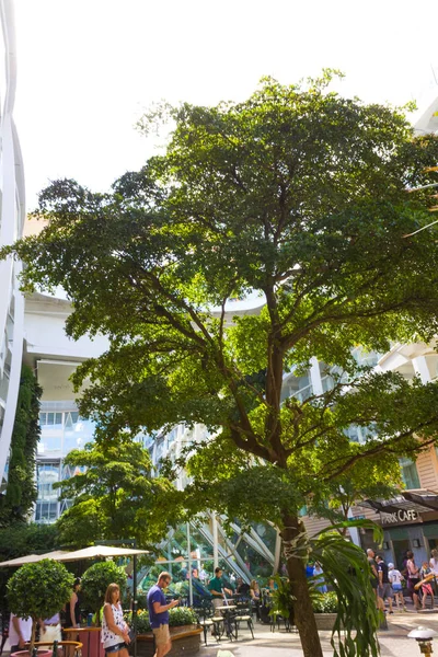 Cape Canaveral, Amerika Birleşik Devletleri - 29 Nisan 2018: Cruise liner ya da gemi central Park'ta 29 Nisan 2018 üzerinde Cape Canaveral, ABD Oasis Royal Caribbean tarafından denizlerin yanaştı. İkinci en büyük yolcu gemisi