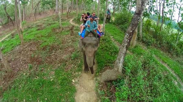 Сафари на слонах в Национальном парке Читван, Непал — стоковое фото
