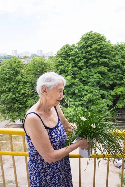 Vieille femme avec des fleurs sur le balcon — Photo