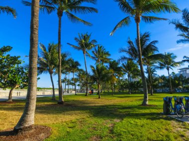 Miami Beach Florida lüks daire ve su yolu ile