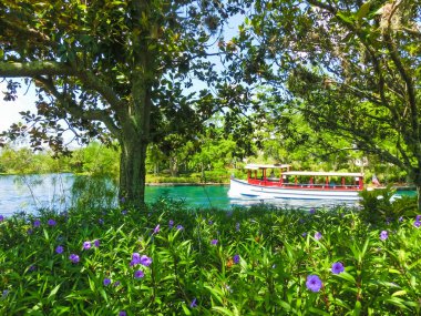 Su ulaştırma araçları ve lagün Orlando, ABD