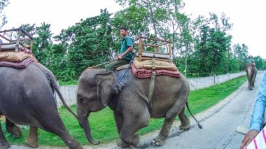 Chitwan, Nepal - 09 Nisan 2018: Elephant safari Chitwan Milli Parkı, Nepal