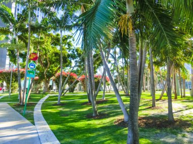 Miami, Amerika Birleşik Devletleri - 07,2018 olabilir: Modern apartmanlar Collins Avenue palmiye ağaçları ile