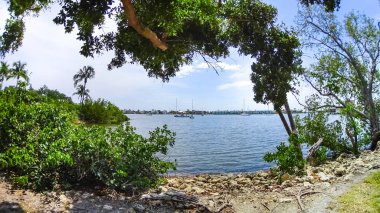 Tekne marina ve waterfront Naples, Florida