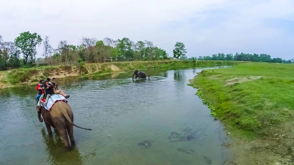 Περιοχή Τσιτουάν του Νεπάλ - 09 Απριλίου 2018: Elephant safari στο Εθνικό Πάρκο Τσίτβαν, Νεπάλ — Φωτογραφία Αρχείου