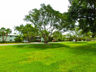 Yol ve Naples, Florida, ağaçlar