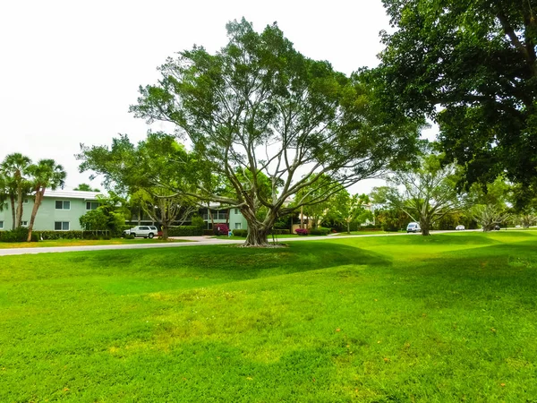 The road and trees at Naples, Florida — Stock Photo, Image