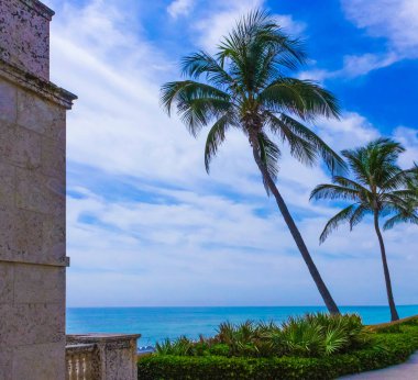 Palm Beach, Florida, ABD - okyanus ve ağaçlar üzerinde değer Ave.