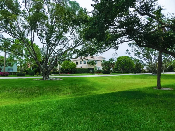 Die straße und bäume bei neapel, florida — Stockfoto