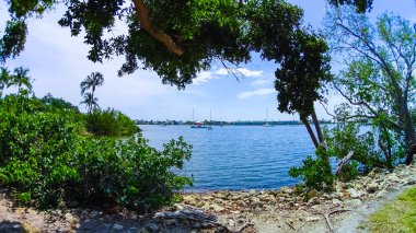 Tekne marina ve waterfront Naples, Florida