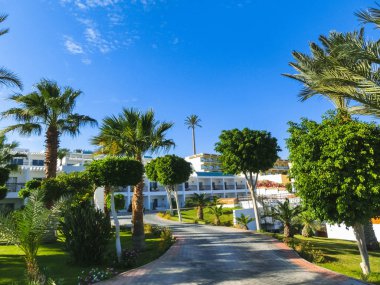 Sharm El Sheikh, Mısır - 31 Aralık 2018:Tropical lüks Sultan bahçeleri Resort Kızıldeniz sahilinde. Palmiye ağaçları ve diğer çevre düzenlemesi ağaçlar Mısır, Sharm el otel binalarda zemin üzerine