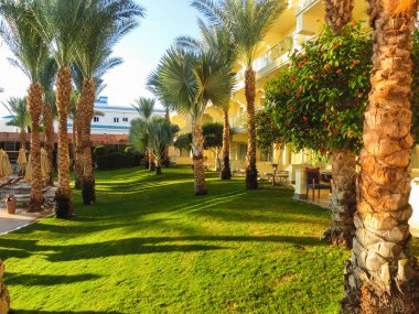 Sharm El Sheikh, Mısır - 31 Aralık 2018: Tropikal lüks Xperience Sea Breeze Resort Red Sea Beach.