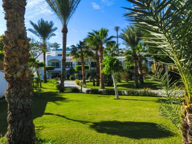 Sharm El Sheikh, Mısır - 31 Aralık 2018: Tropikal lüks Sultan bahçeleri Resort Red Sea Beach.