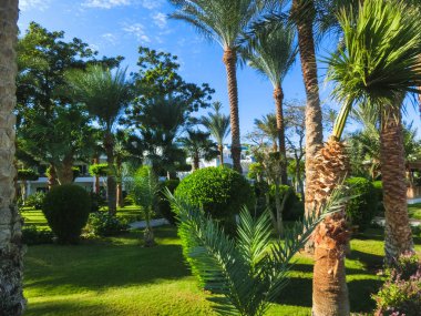 Sharm El Sheikh, Mısır - 31 Aralık 2018: Tropikal lüks Sultan bahçeleri Resort Red Sea Beach.