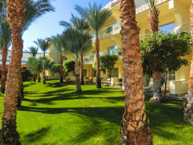 Sharm El Sheikh, Mısır - 31 Aralık 2018: Tropikal lüks Xperience Sea Breeze Resort Red Sea Beach.
