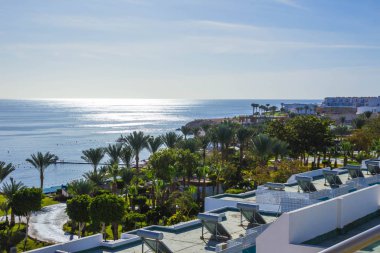 Güneşli bir gün kumsalda Kızıldeniz