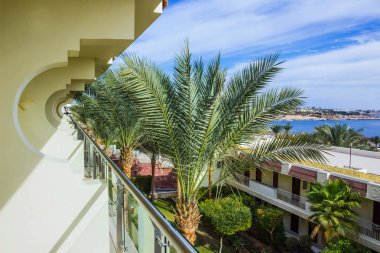 Güneşli bir gün kumsalda Kızıldeniz