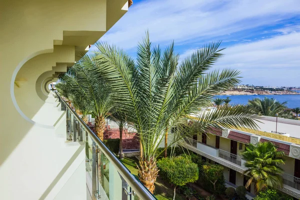 Güneşli bir gün kumsalda Kızıldeniz