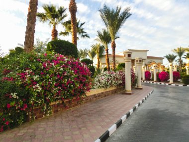 Sharm El Sheikh, Mısır - 05 Ocak 2019: Sultan bahçeleri Resort, Sharm El Sheikh
