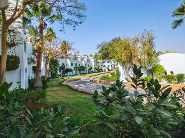 Sharm El Sheikh, Mısır - 03 Ocak 2019: Domina Coral Bay 5 yıldız karmaşık