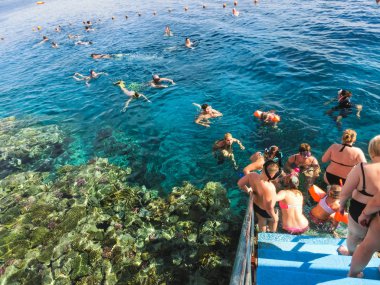Sharm El Sheikh, Mısır - 31 Aralık 2018: Kızıldeniz, Sharm El Sheikh, Mısır üzerinde mercan resif üzerinde mavi sularda dalış insanlar