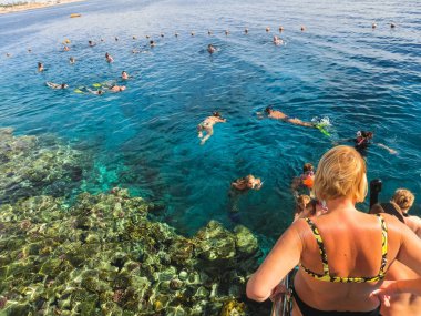 Sharm El Sheikh, Mısır - 31 Aralık 2018: Kızıldeniz, Sharm El Sheikh, Mısır üzerinde mercan resif üzerinde mavi sularda dalış insanlar
